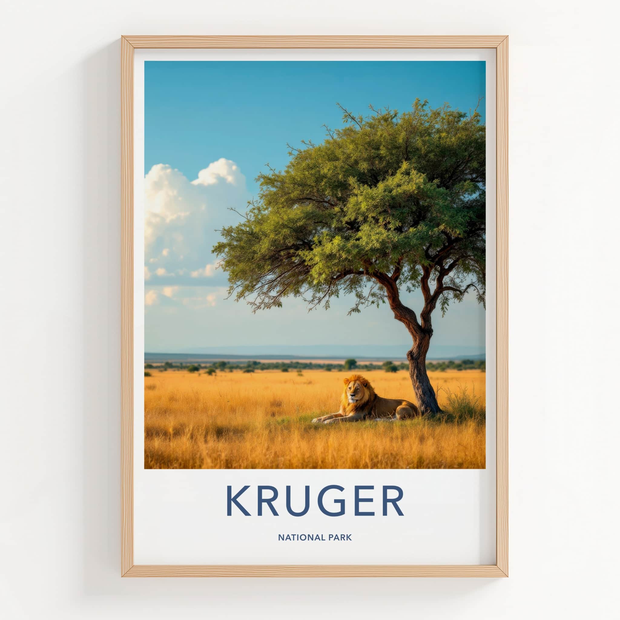 Kruger National Park Poster - South Africa Travel Art - Lion Resting Shade Home Decor