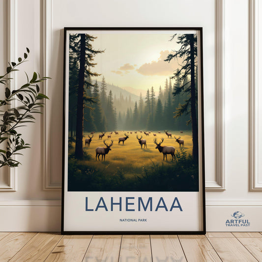 Lahemaa