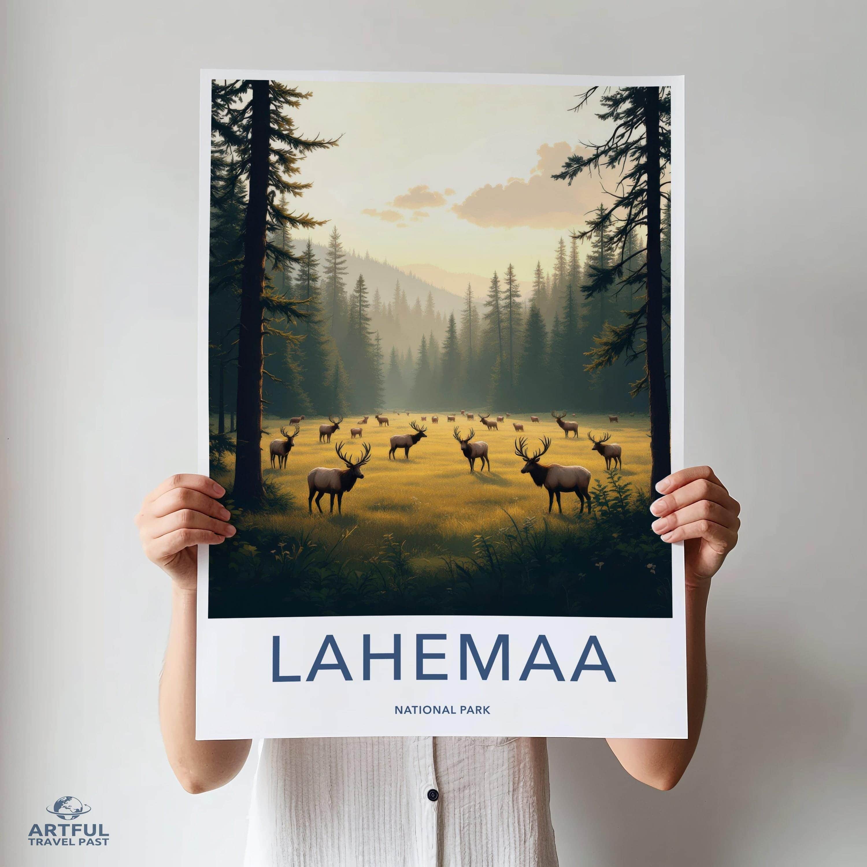 Lahemaa