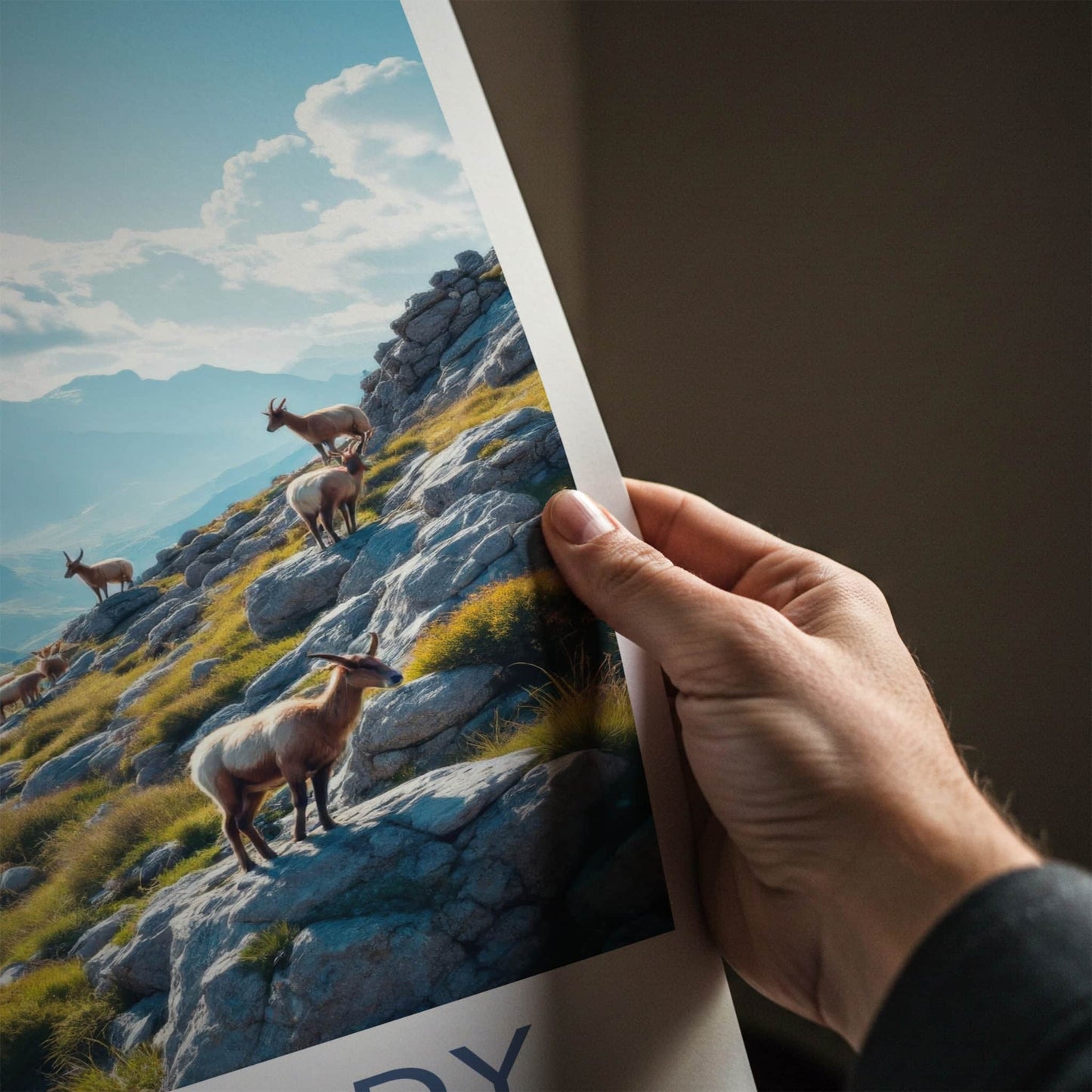 Lombardy Poster - Italy Travel Art - Majestic Mountain Goats Home Decor