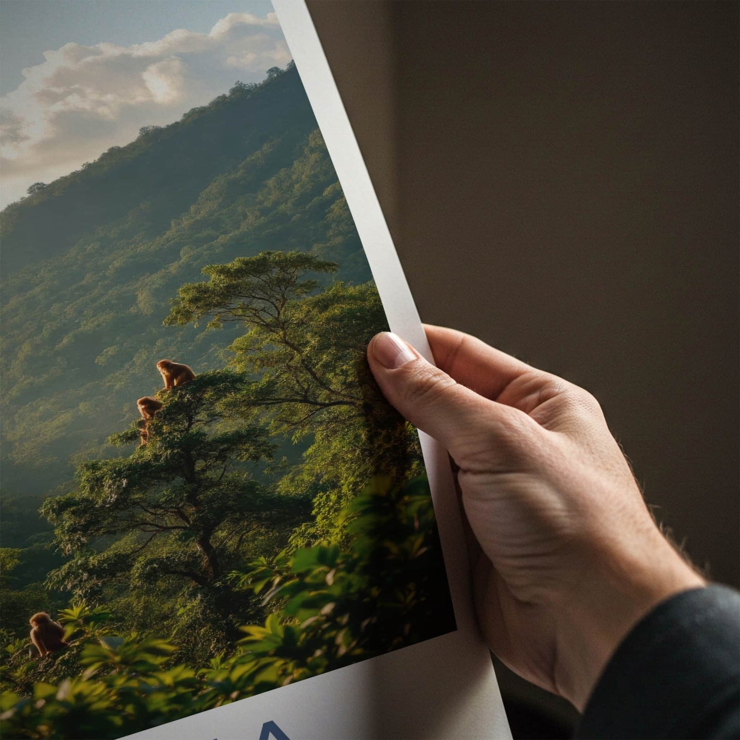 Nam Ha Poster - Laos Travel Art - Monkeys Mountain Haze Home Decor