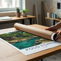 Polo Forest Poster - India Travel Art - Gujarat Ancient Ruins Home Decor