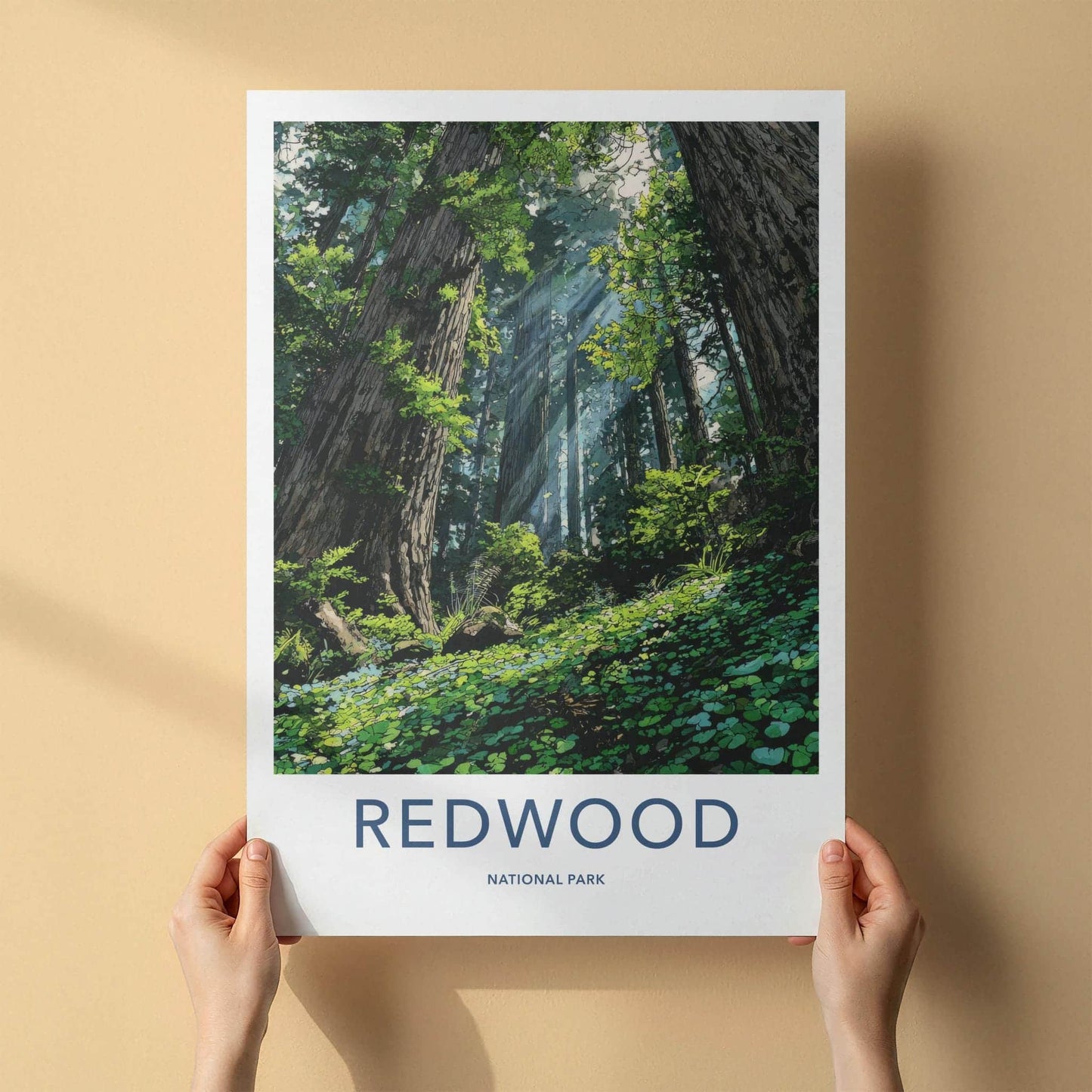 Redwood National Park Poster - California Art Print - Sunlit Forest Floor Home Decor