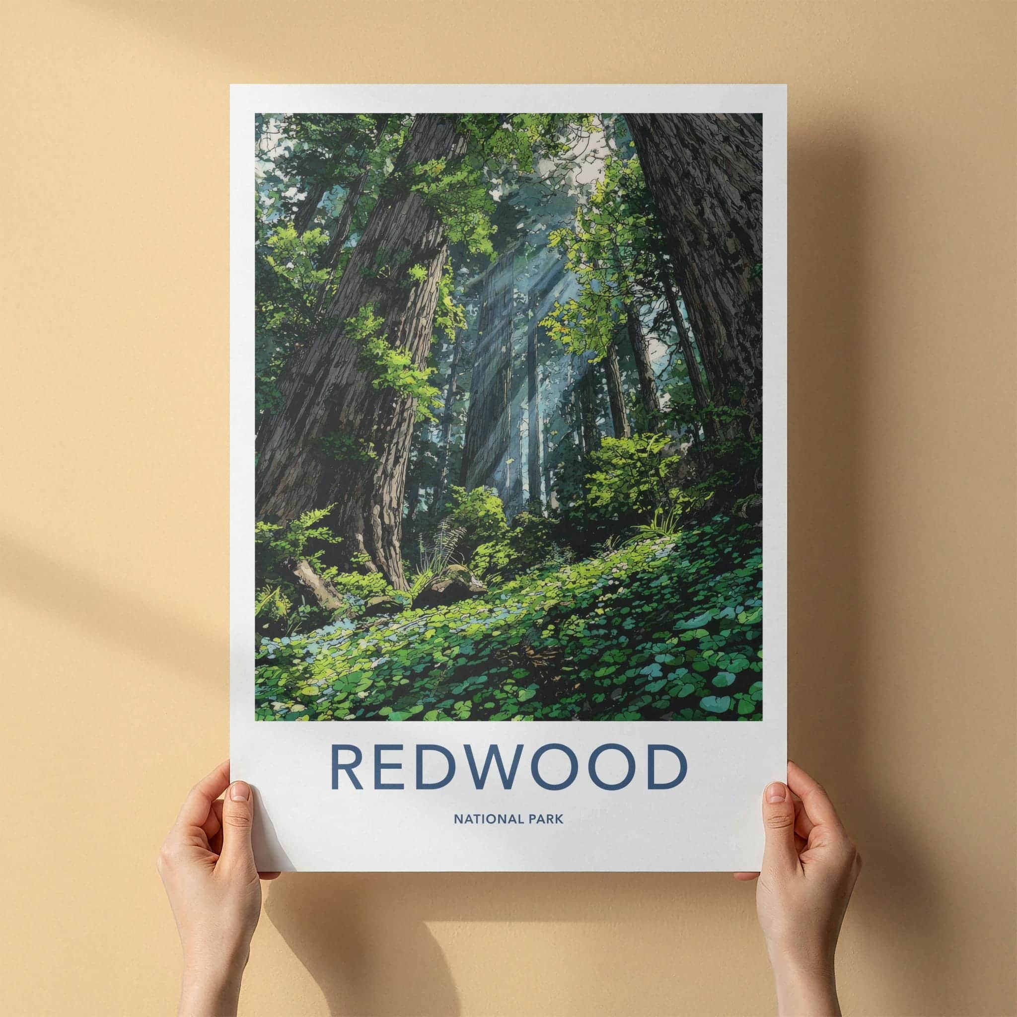 Redwood National Park Poster - California Art Print - Sunlit Forest Floor Home Decor