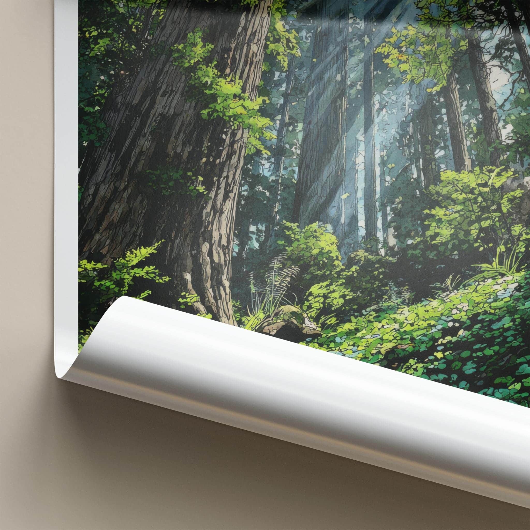 Redwood National Park Poster - California Art Print - Sunlit Forest Floor Home Decor