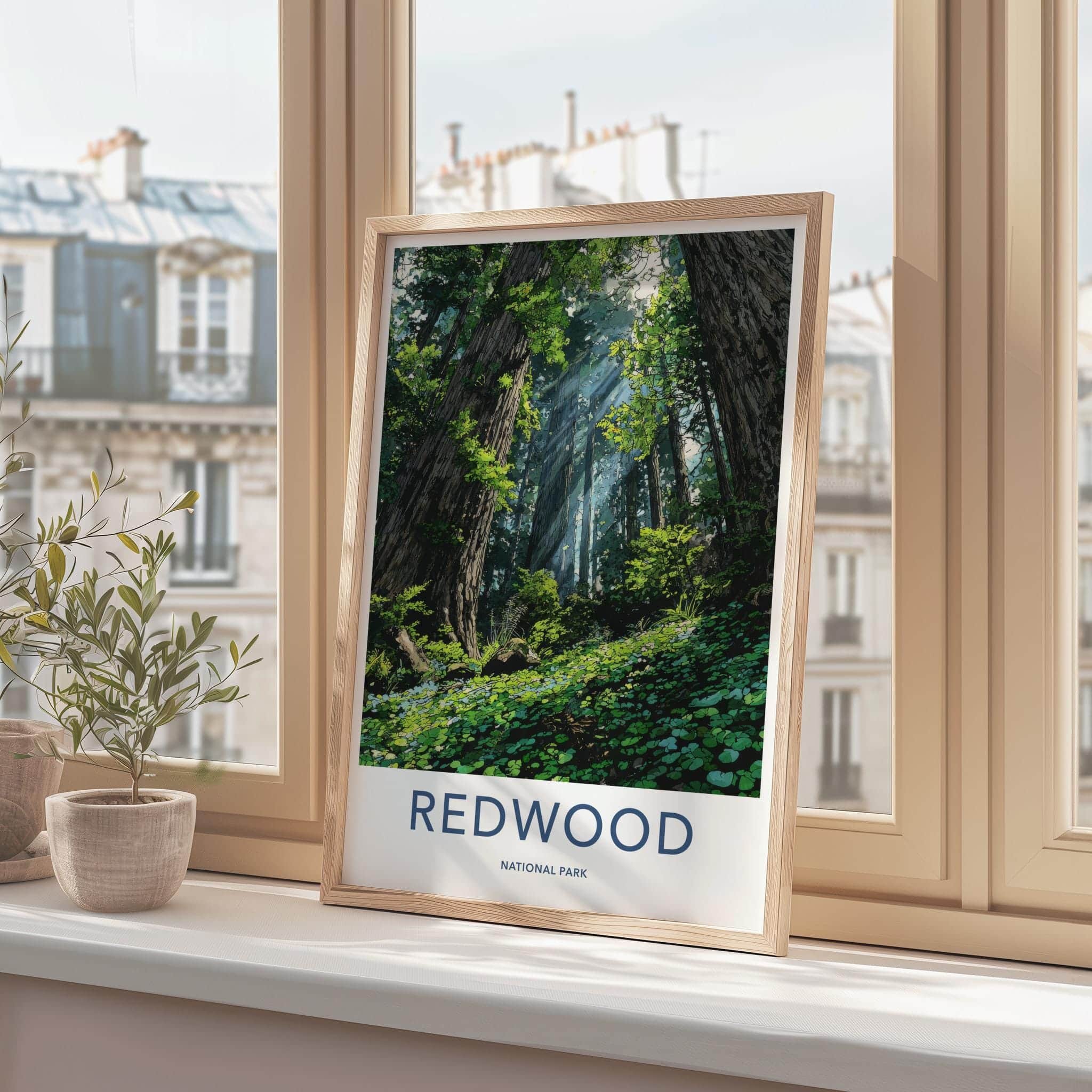Redwood National Park Poster - California Art Print - Sunlit Forest Floor Home Decor