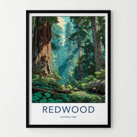 Redwood National Park Poster - California Travel Art - Giant Forest Sunlight Home Decor