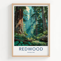 Redwood National Park Poster - California Travel Art - Giant Forest Sunlight Home Decor