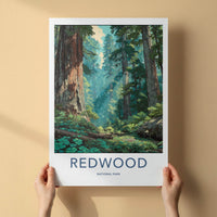 Redwood National Park Poster - California Travel Art - Giant Forest Sunlight Home Decor