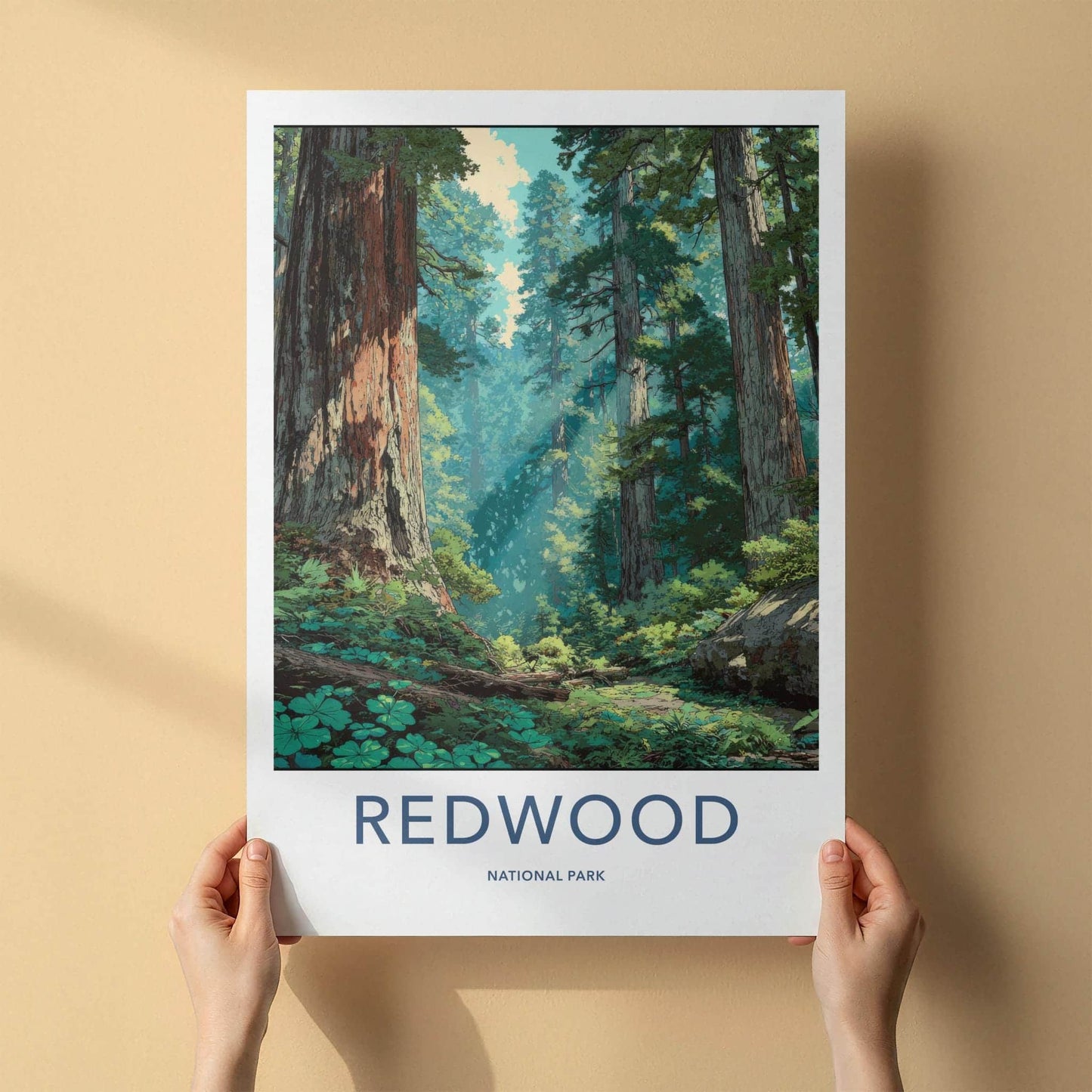 Redwood National Park Poster - California Travel Art - Giant Forest Sunlight Home Decor