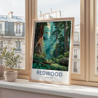 Redwood National Park Poster - California Travel Art - Giant Forest Sunlight Home Decor
