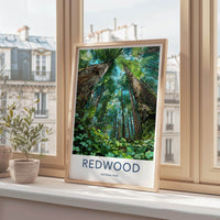 Redwood National Park Poster - California Wall Art - Giant Forest View Gift