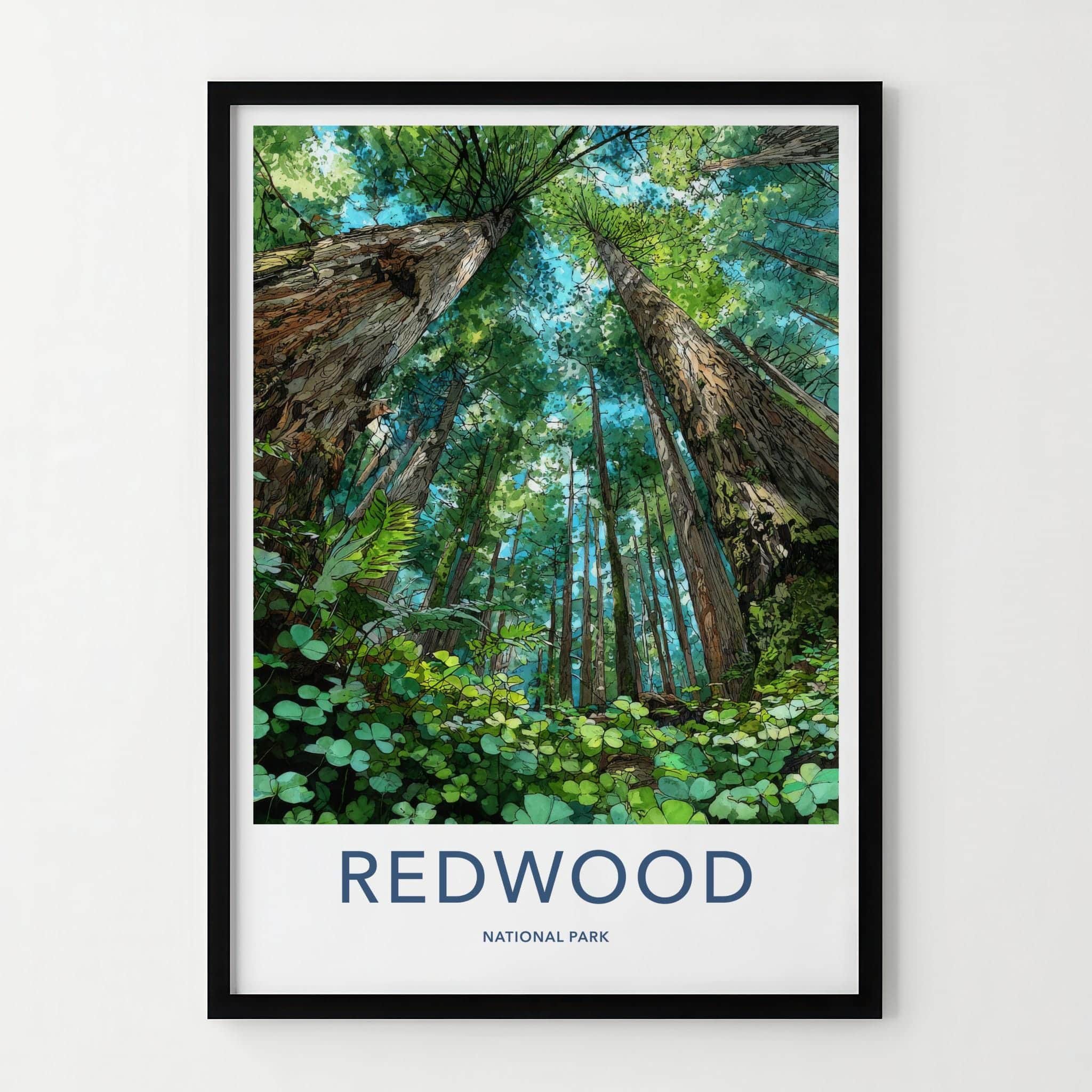 Redwood National Park Poster - California Wall Art - Giant Forest View Gift