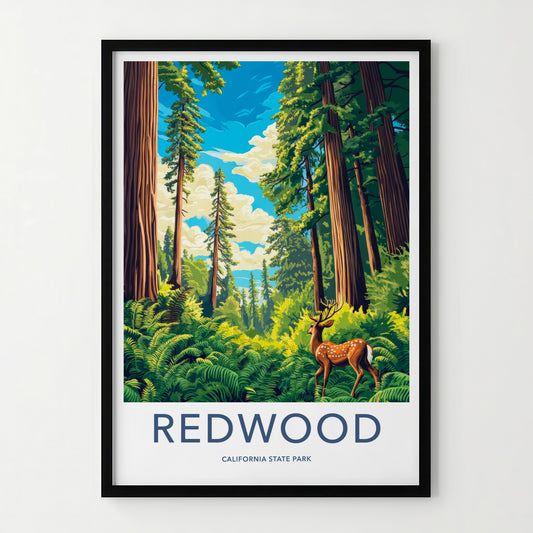 Redwood Poster - California Travel Art - Deer Redwood Forest Home Decor