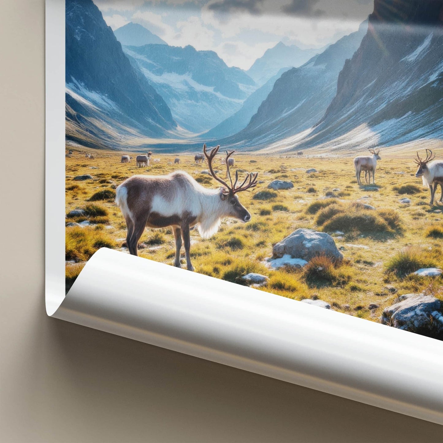 Rondane National Park Poster - Norway Travel Art - Reindeer Mountain Valley Home Decor