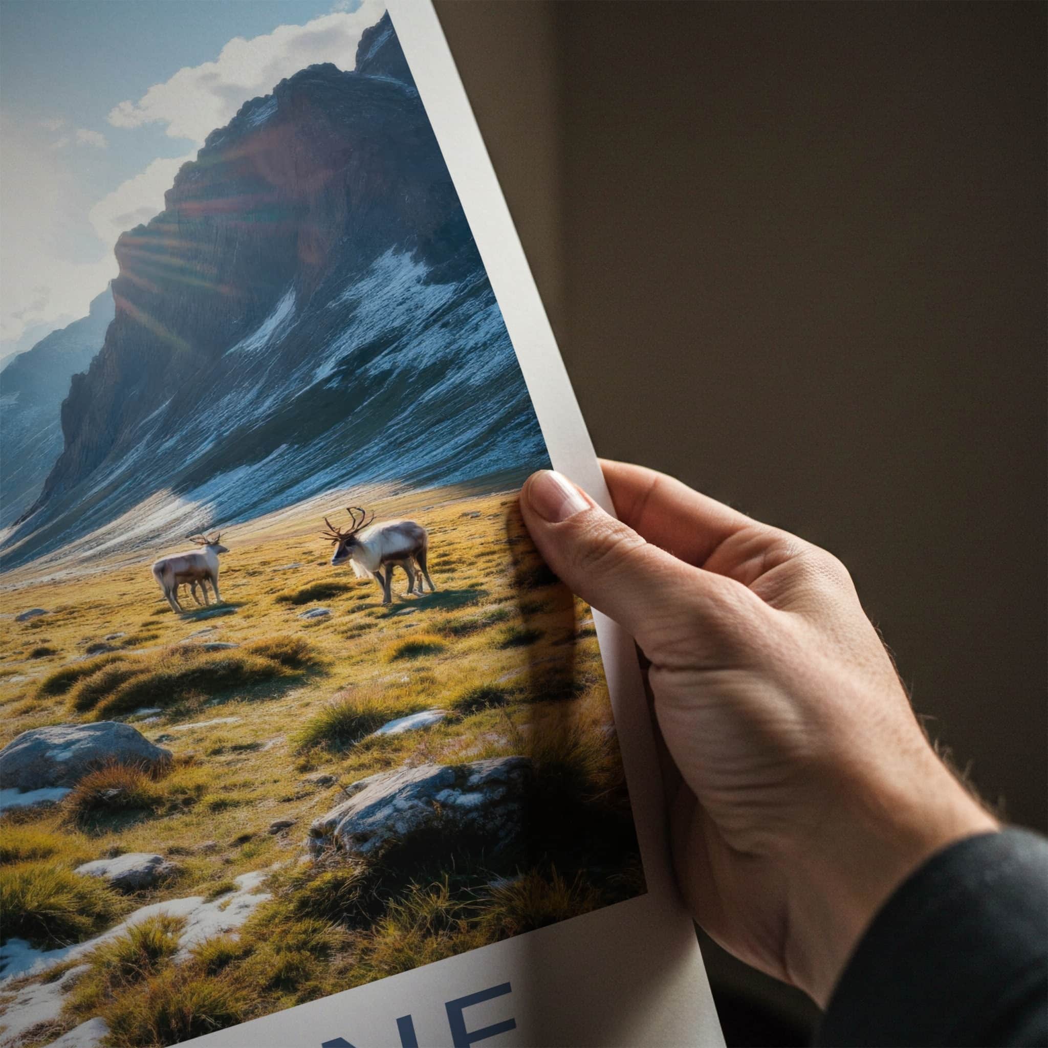 Rondane National Park Poster - Norway Travel Art - Reindeer Mountain Valley Home Decor