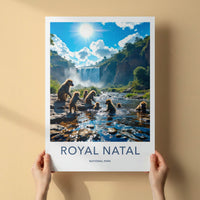 Royal Natal National Park Poster - South Africa Fine Art - River Baboons Falls Gift