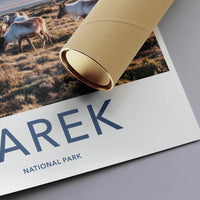 Sarek