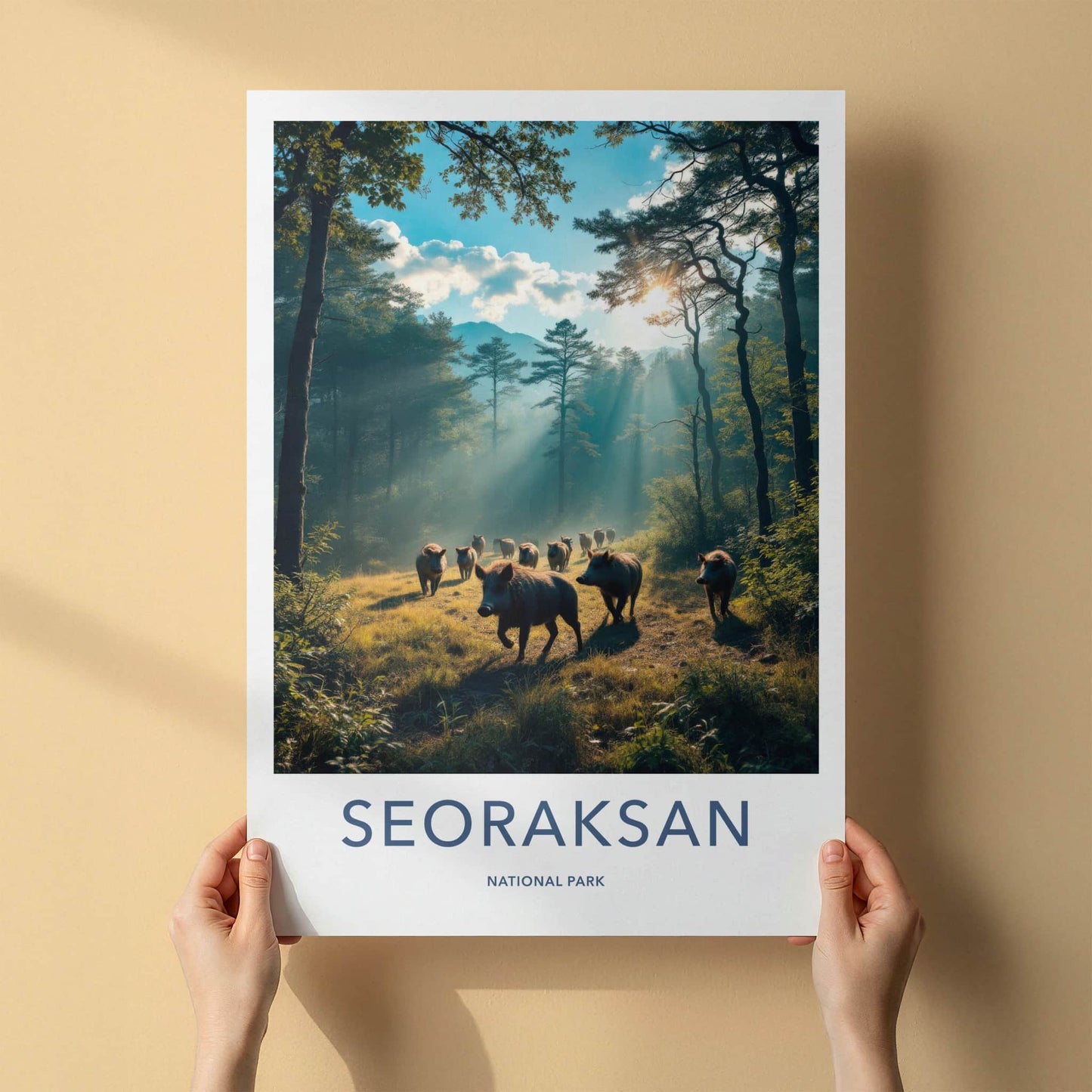 Seoraksan Poster - South Korea Travel Art - Sunlit Forest Boars Home Decor
