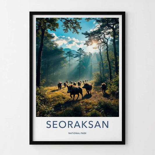 Seoraksan Poster - South Korea Travel Art - Sunlit Forest Boars Home Decor