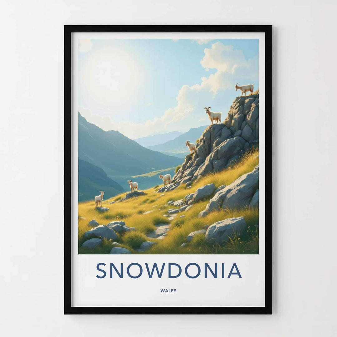 Snowdonia Poster - Wales Travel Art - Sunlit Mountain Goats Home Decor