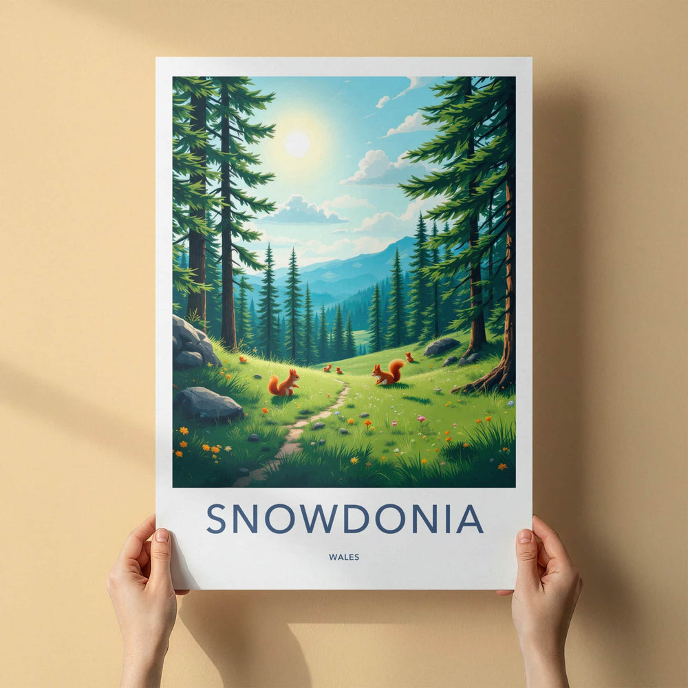 Snowdonia Poster - Wales Travel Art - Sunny Forest Path Home Decor