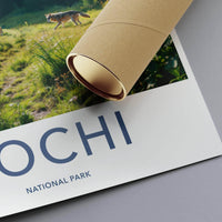 Sochi