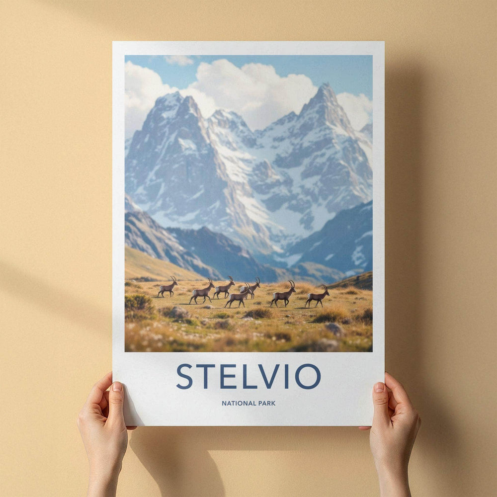 Stelvio National Park Art - Italian Alps Wall Art