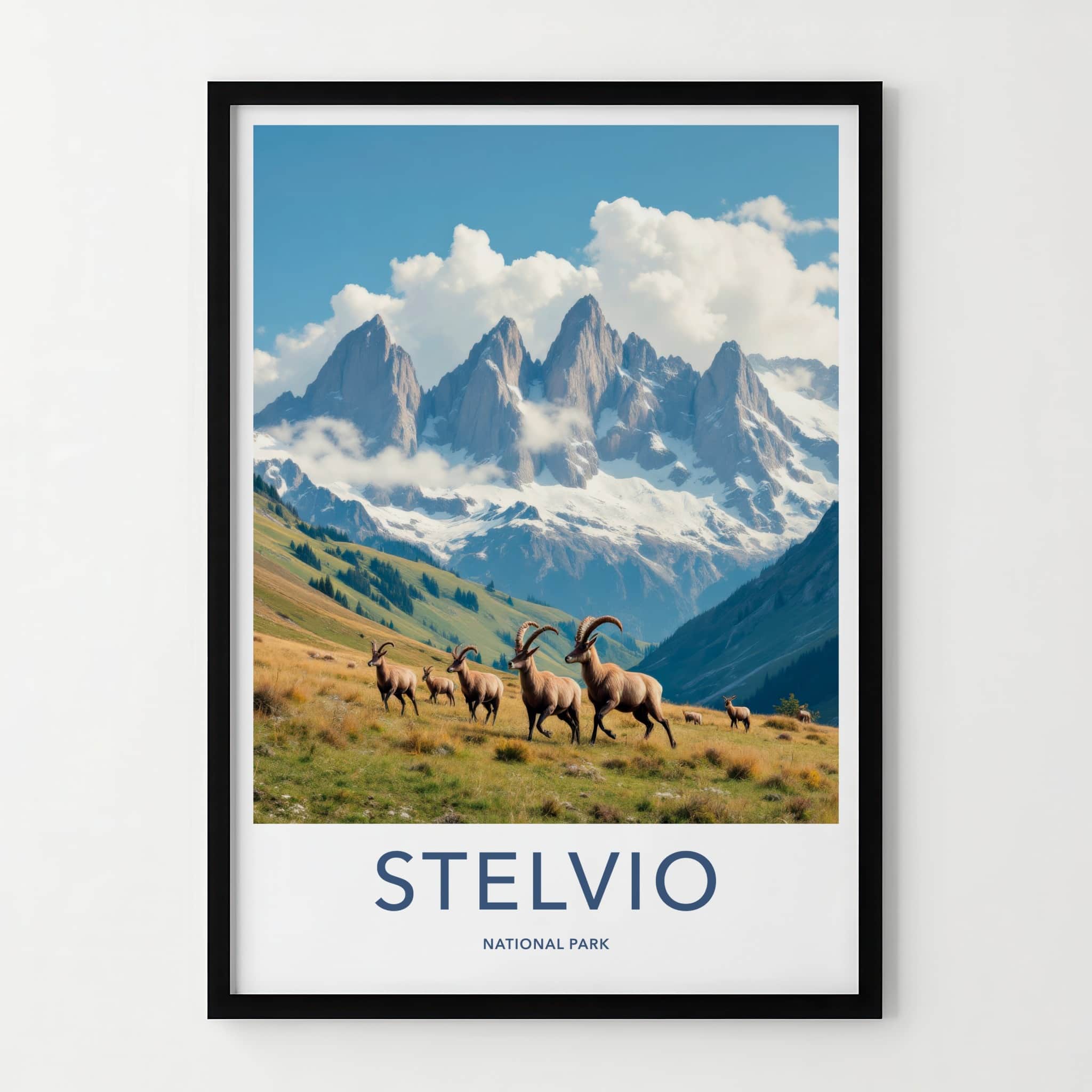 Stelvio National Park Poster - Italy Travel Art - Alpine Ibex Herd Home Decor