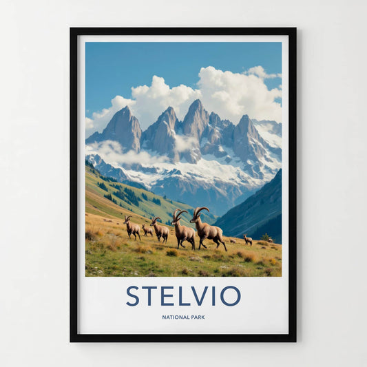 Stelvio National Park Poster - Italy Travel Art - Alpine Ibex Herd Home Decor