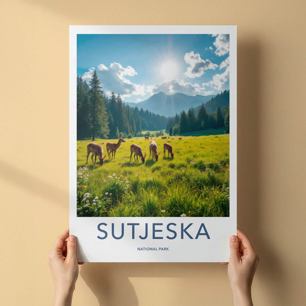 Sutjeska National Park Poster - Bosnia and Herzegovina Wall Art - Sunny Field Deer Gift