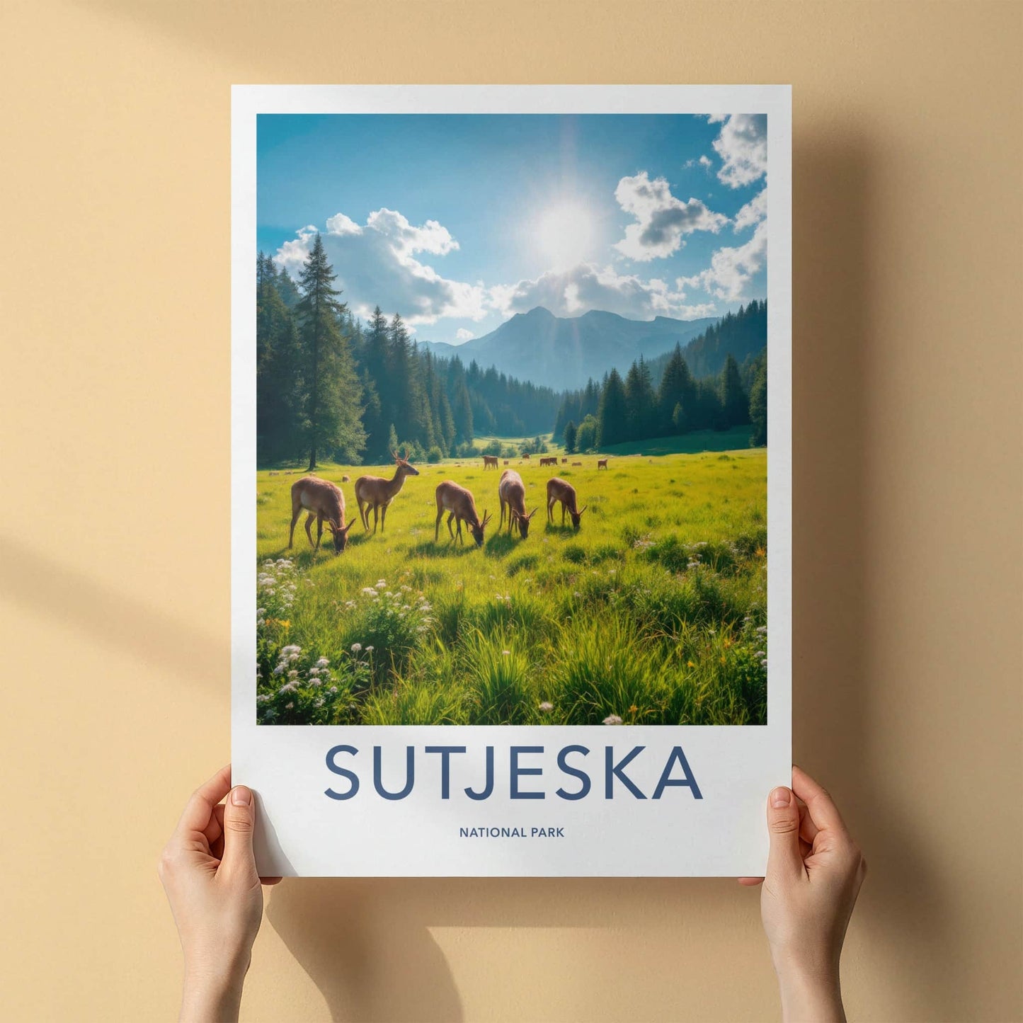 Sutjeska National Park Poster - Bosnia and Herzegovina Wall Art - Sunny Field Deer Gift