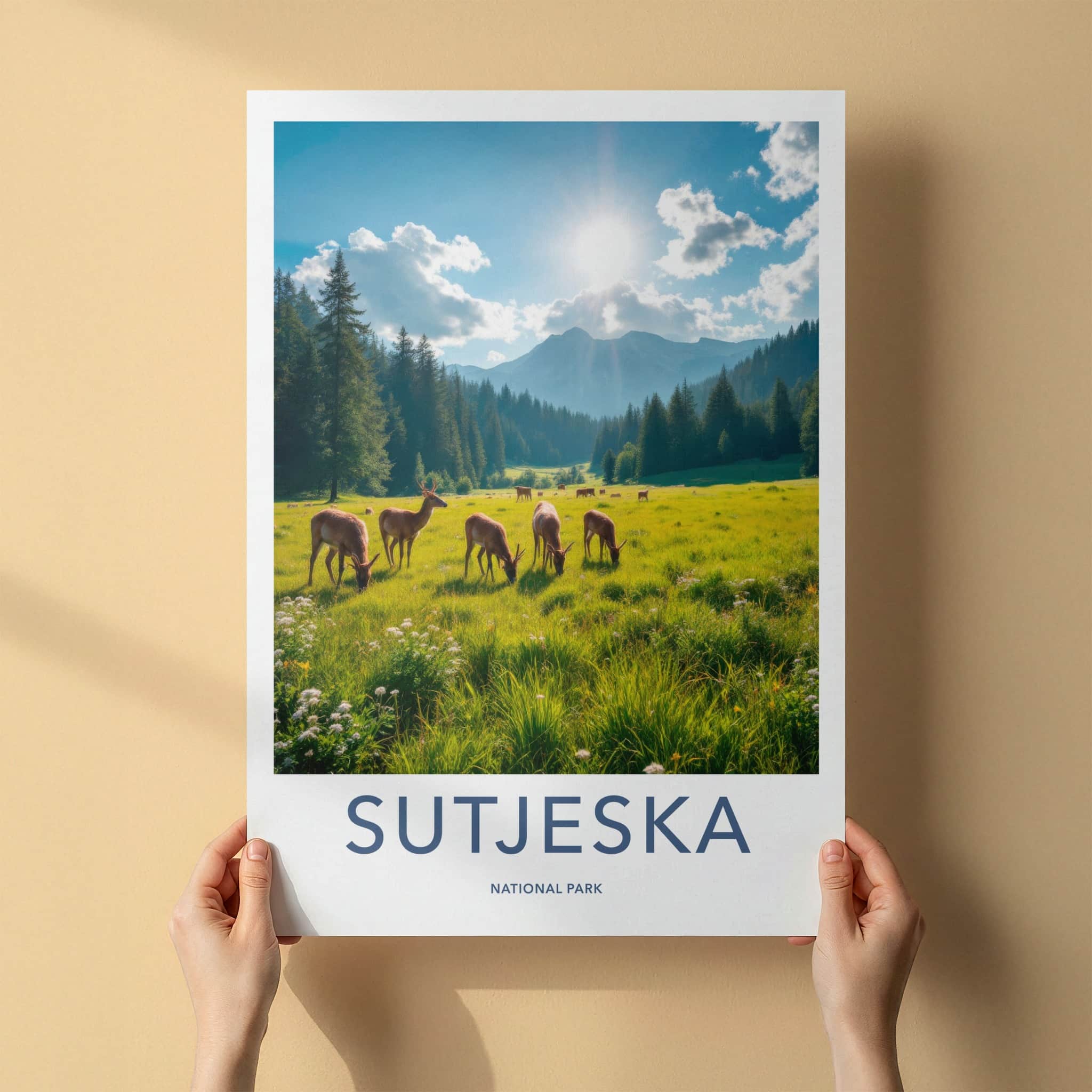 Sutjeska National Park Poster - Bosnia and Herzegovina Wall Art - Sunny Field Deer Gift