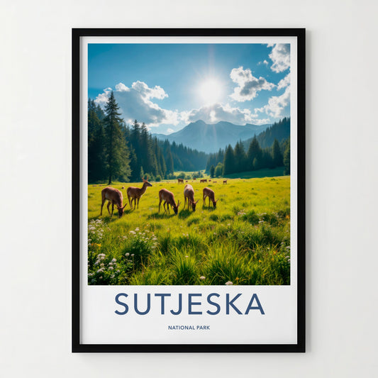 Sutjeska National Park Poster - Bosnia and Herzegovina Wall Art - Sunny Field Deer Gift