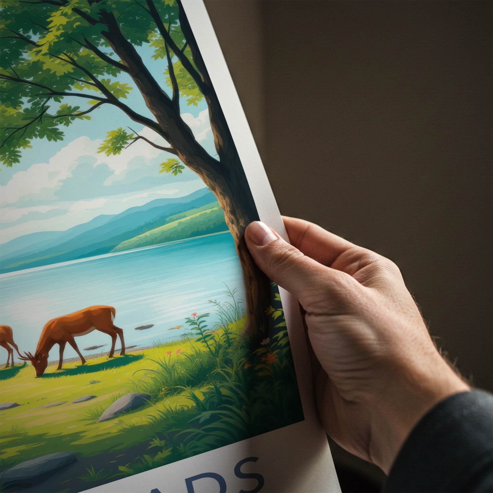 The Broads Poster - England Travel Art - Deer Grazing Lakeside Wall Decor