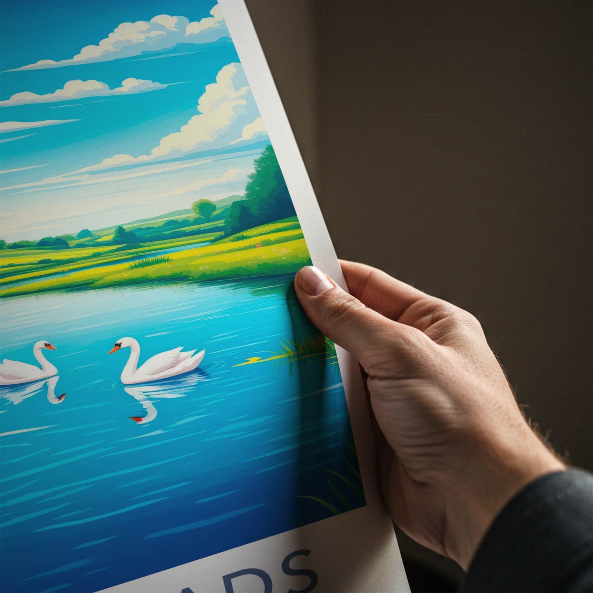 THE BROADS Poster - England Travel Art - Swans Blue Lake Home Decor
