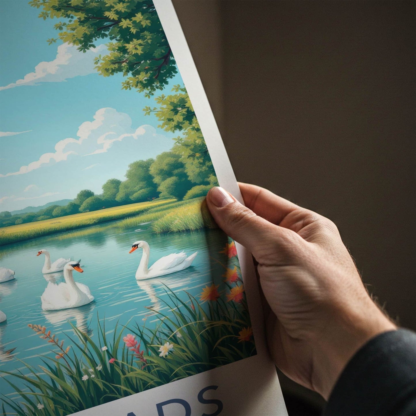 The Broads Poster - England Travel Art - Swans Floating Pond Wall Decor