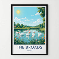 The Broads Poster - England Travel Art - Swans Floating Pond Wall Decor