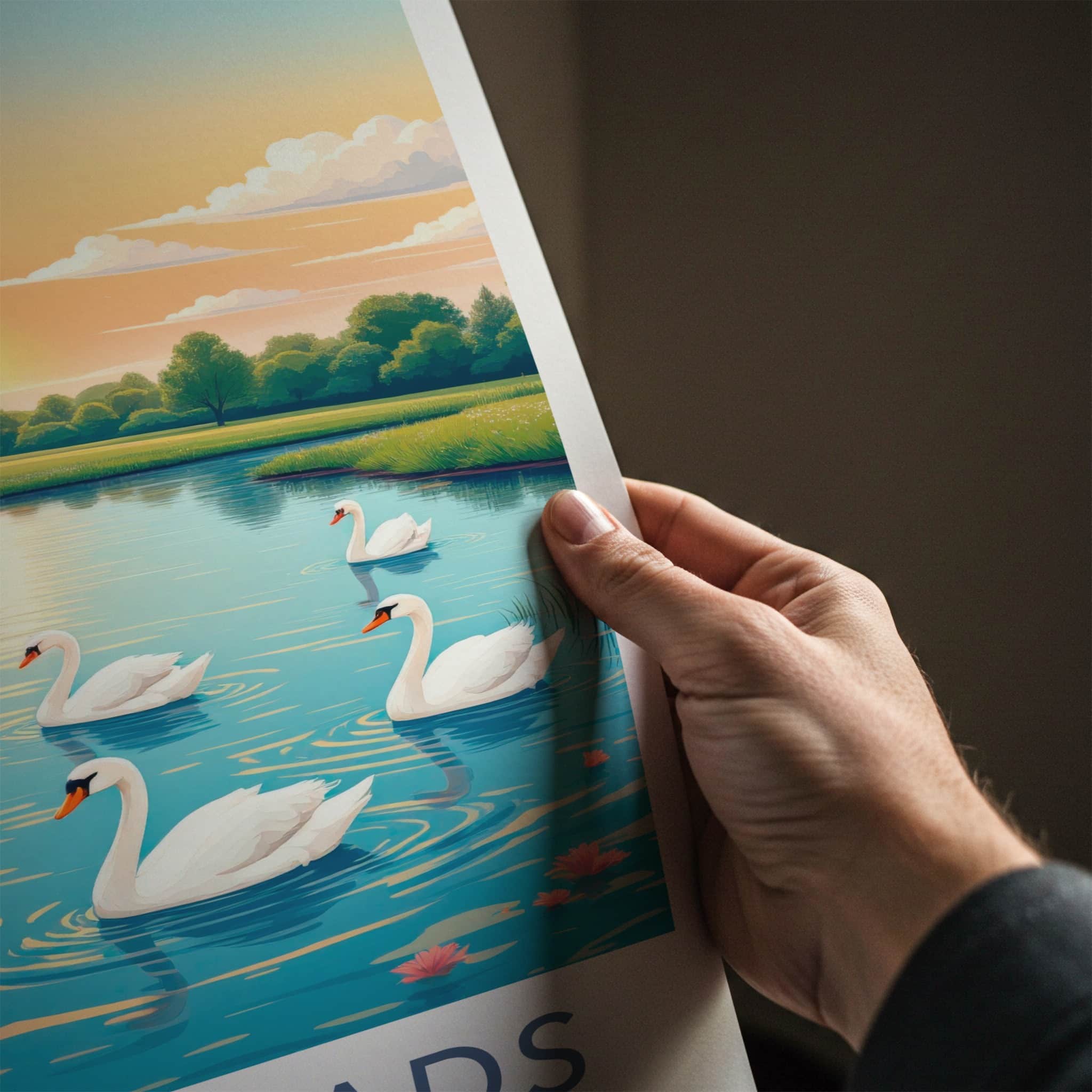 The Broads Poster - United Kingdom Travel Art - Swans Lakeside Sunset Home Decor
