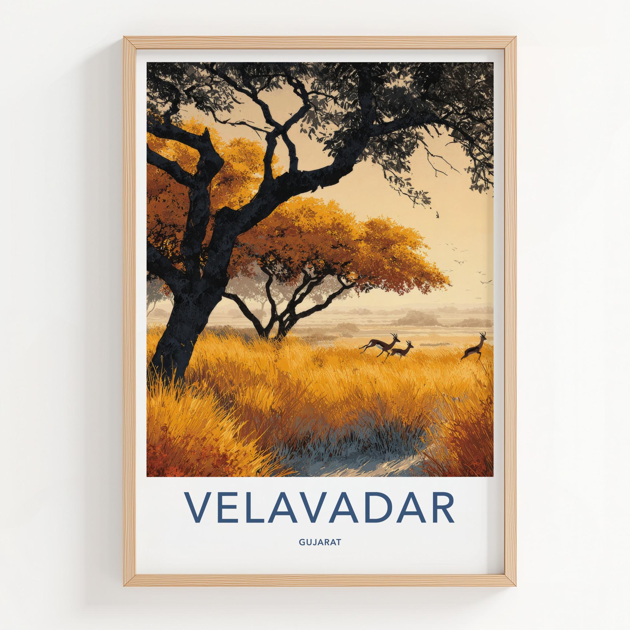 Velavadar Poster - India Travel Art - Gujarat Golden Grass Home Decor