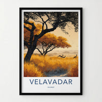 Velavadar Poster - India Travel Art - Gujarat Golden Grass Home Decor