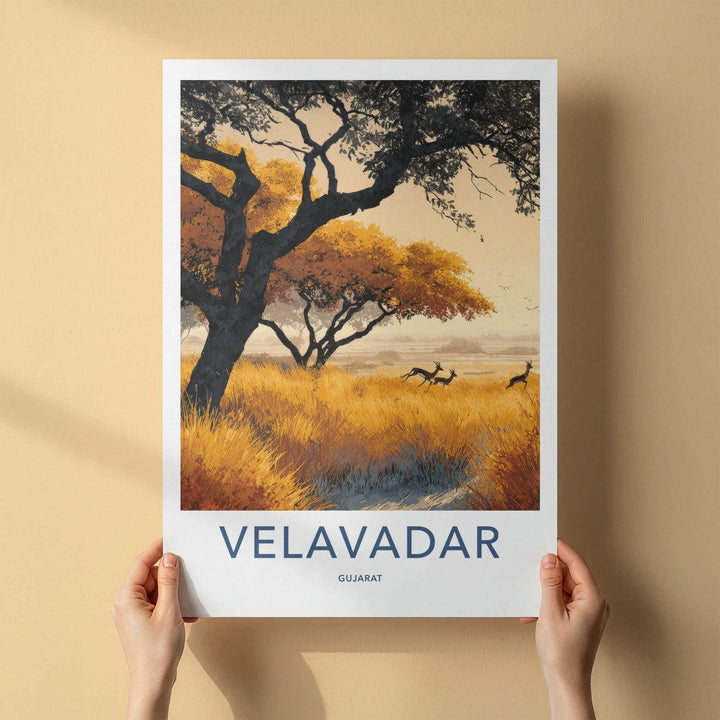 Velavadar Poster - India Travel Art - Gujarat Golden Grass Home Decor