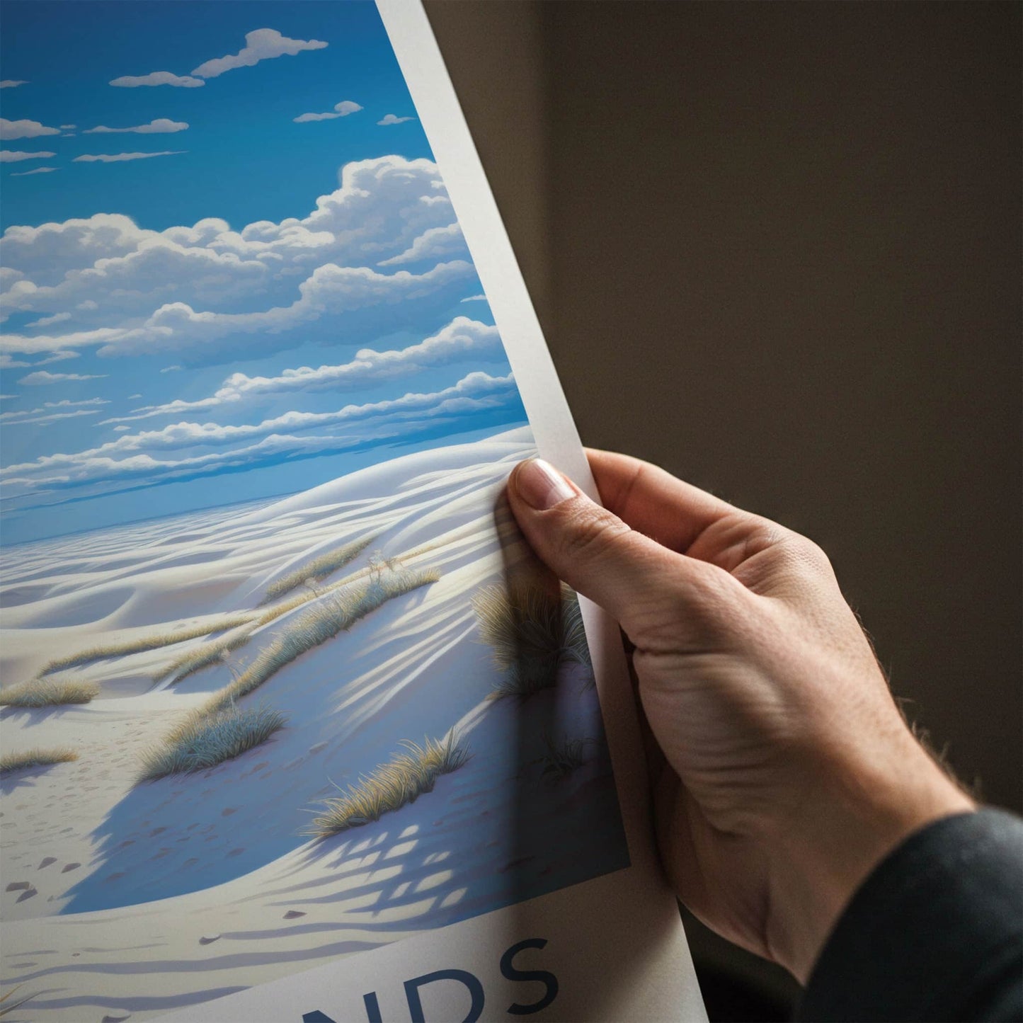 White Sands Poster - New Mexico Travel Art - Desert Fluffy Plants Home Decor