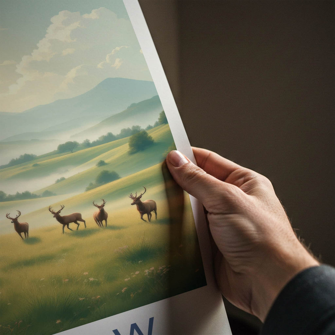 Wicklow Poster - Ireland Travel Art - Misty Deer Valley Wall Decor
